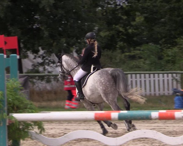Reitturnier Datteln 2019