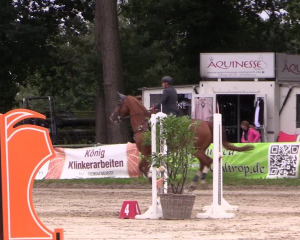 Reitturnier Datteln 2019