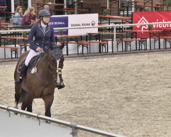 Reitturnier Durmersheim-Hardt 2019