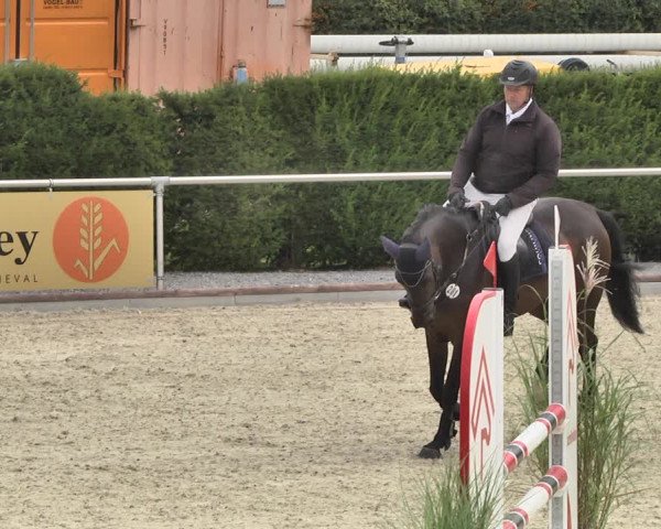 Reitturnier Durmersheim-Hardt 2019