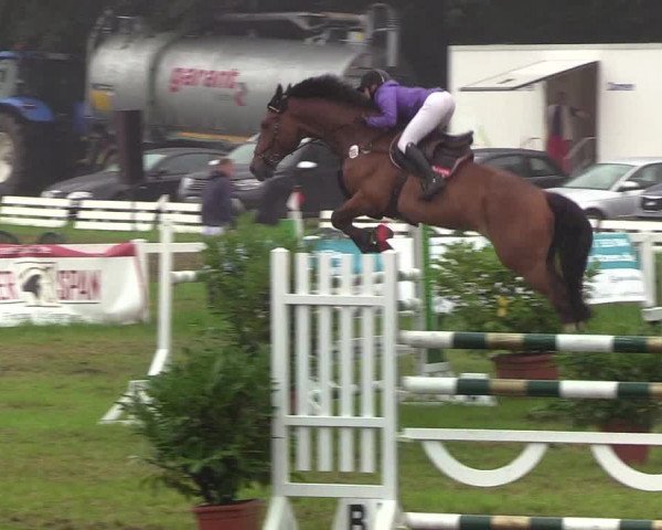 Reitturnier Langstedt-Bollingstedt 2019