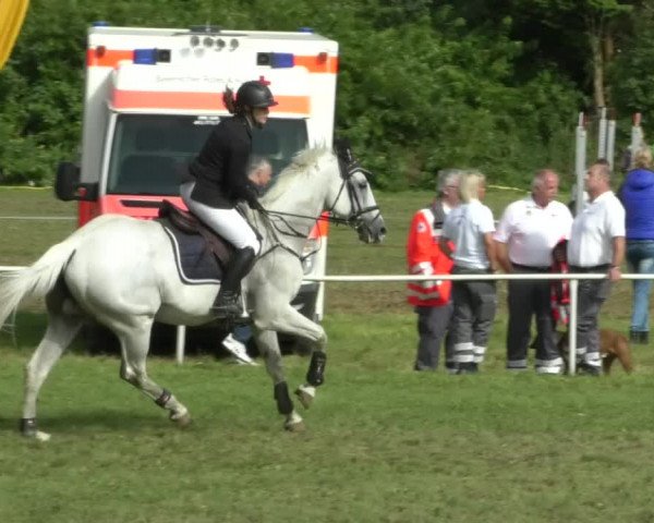 Reitturnier Memmingen/Schw. 2019