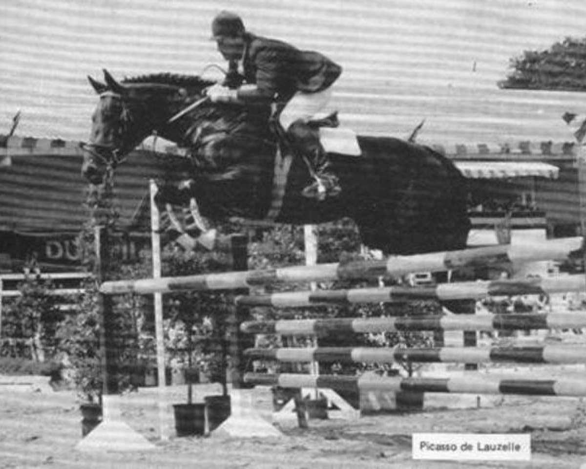 stallion Picasso de Lauzelle (Hanoverian, 1976, from Pik Koenig)