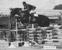 stallion Picasso de Lauzelle (Hanoverian, 1976, from Pik Koenig)