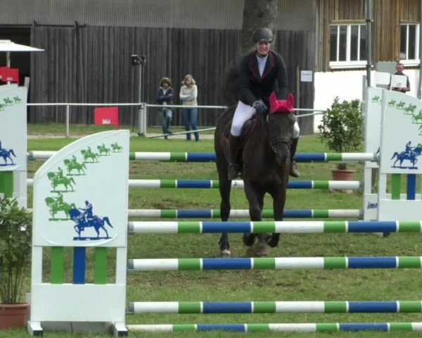 Reitturnier Memmingen/Schw. 2019