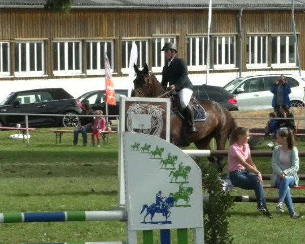 Reitturnier Memmingen/Schw. 2019