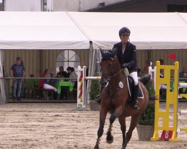 Reitturnier Datteln 2019