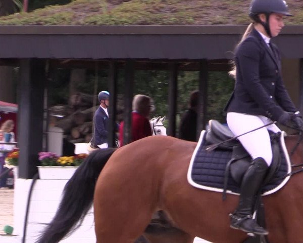 Reitturnier Datteln 2019