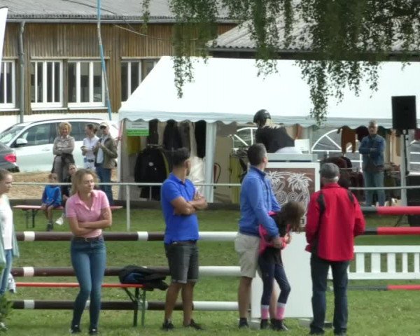 Reitturnier Memmingen/Schw. 2019