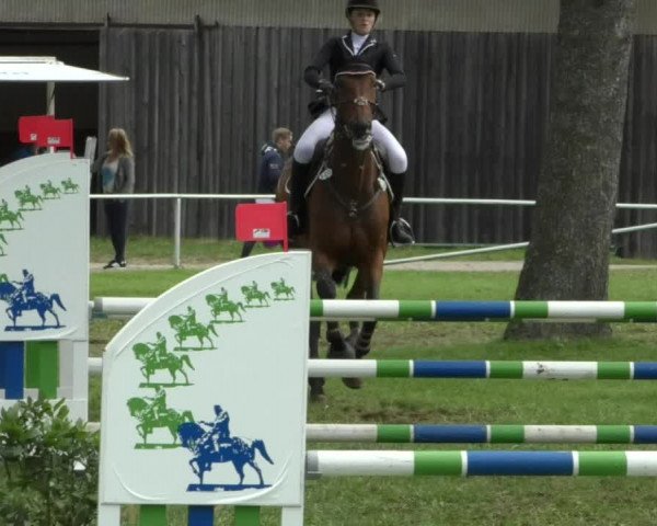 Reitturnier Memmingen/Schw. 2019