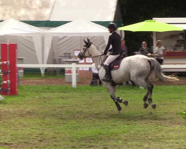 Reitturnier Langstedt-Bollingstedt 2019