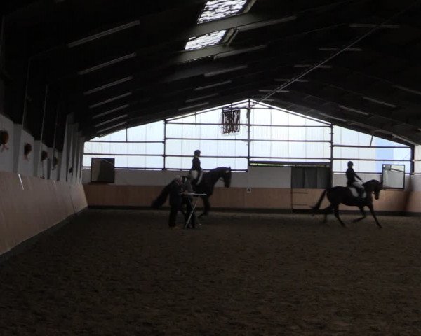 Reitturnier Datteln 2019