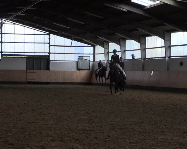 Reitturnier Datteln 2019
