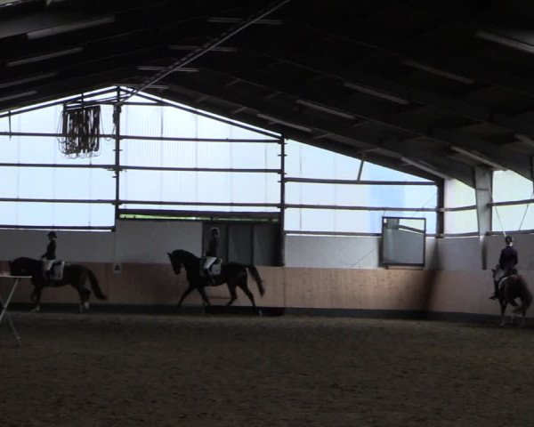 Reitturnier Datteln 2019
