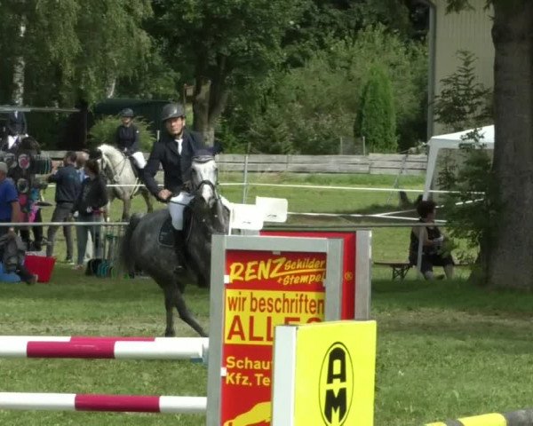 Reitturnier Memmingen/Schw. 2019
