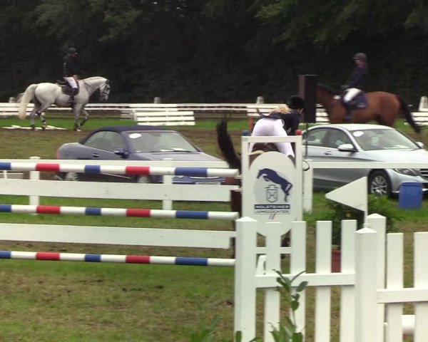 Reitturnier Langstedt-Bollingstedt 2019