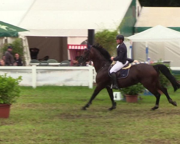 Reitturnier Langstedt-Bollingstedt 2019