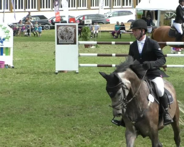 Reitturnier Memmingen/Schw. 2019
