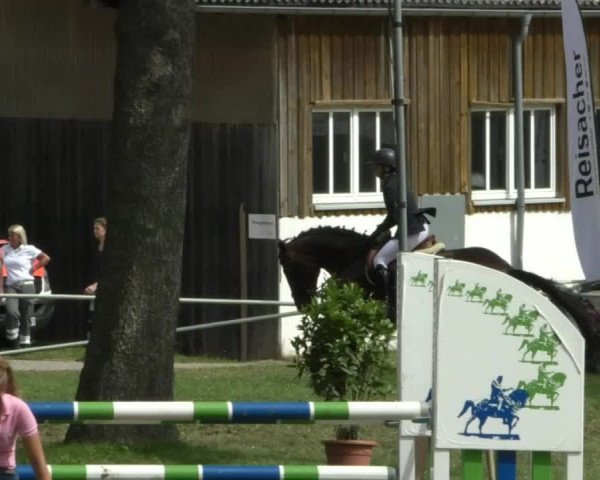 Reitturnier Memmingen/Schw. 2019