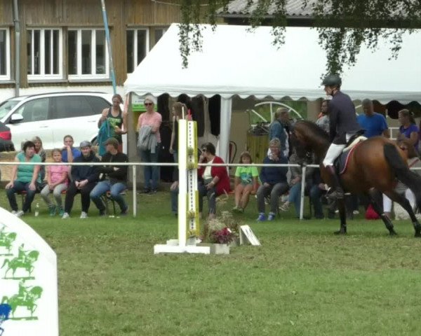 Reitturnier Memmingen/Schw. 2019