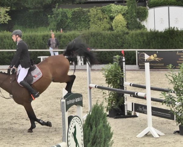 Reitturnier Durmersheim-Hardt 2019