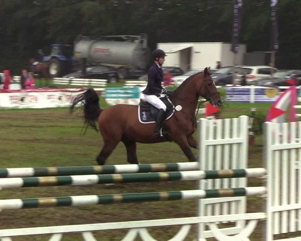 Reitturnier Langstedt-Bollingstedt 2019