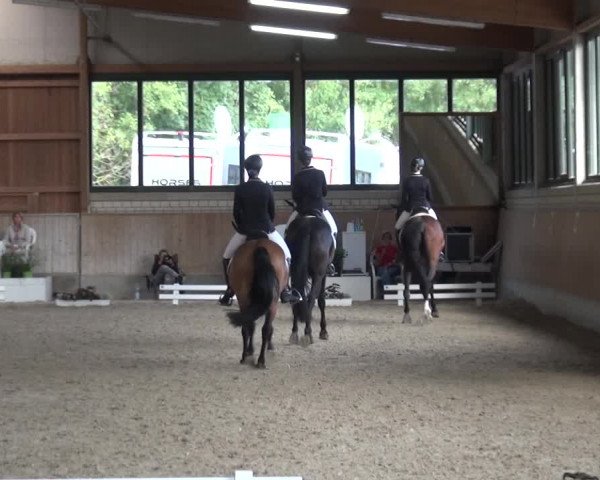 Reitturnier Bergisch Classics - Hebborner Hof 2019
