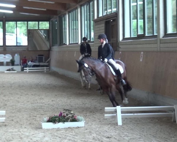 Reitturnier Bergisch Classics - Hebborner Hof 2019