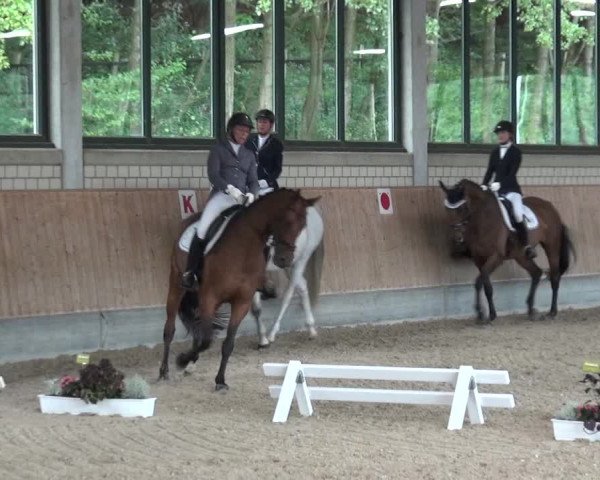 Reitturnier Bergisch Classics - Hebborner Hof 2019