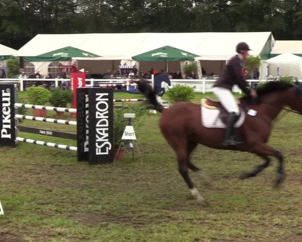 Reitturnier Langstedt-Bollingstedt 2019