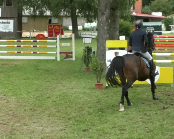Reitturnier Memmingen/Schw. 2019