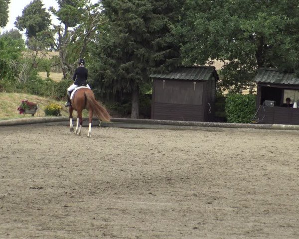 Reitturnier Datteln 2019