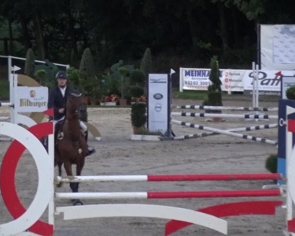 Reitturnier Bergisch Classics - Hebborner Hof 2019