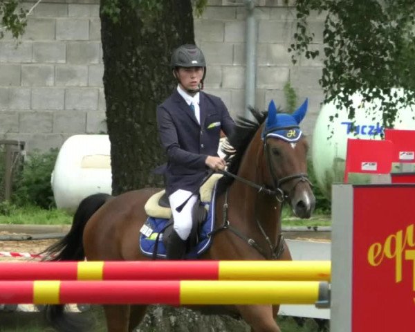 Reitturnier Memmingen/Schw. 2019
