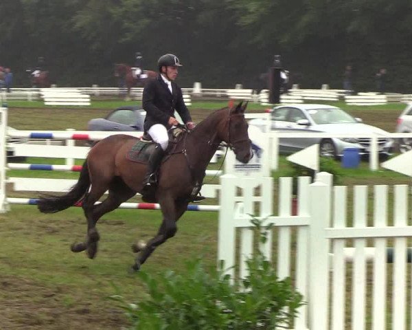 Reitturnier Langstedt-Bollingstedt 2019