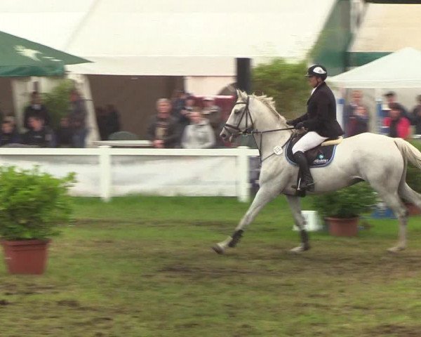Reitturnier Langstedt-Bollingstedt 2019