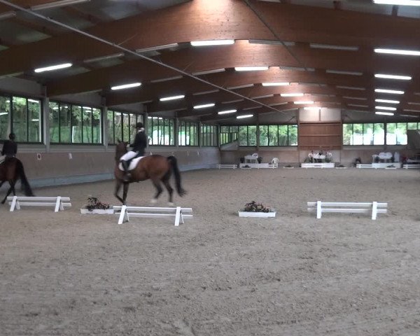 Reitturnier Bergisch Classics - Hebborner Hof 2019