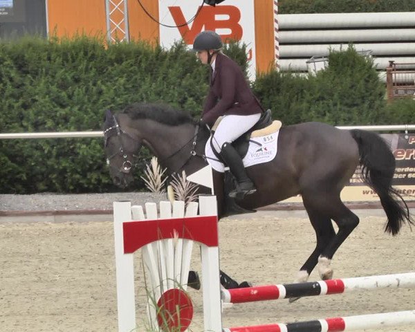 Reitturnier Durmersheim-Hardt 2019