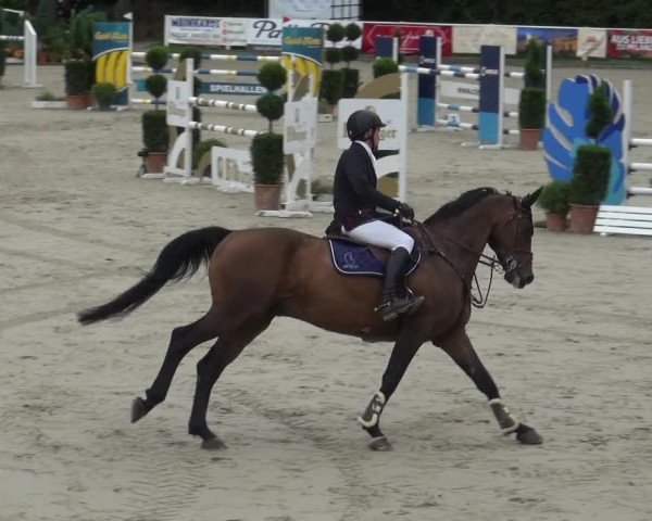 Reitturnier Bergisch Classics - Hebborner Hof 2019