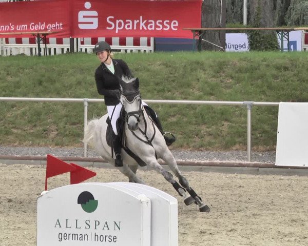 Reitturnier Durmersheim-Hardt 2019