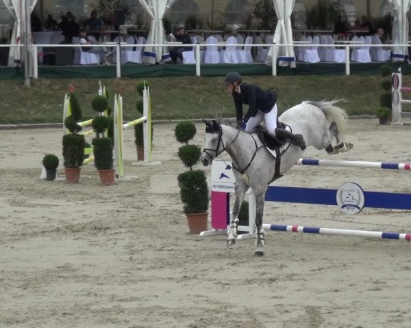 Reitturnier Bergisch Classics - Hebborner Hof 2019