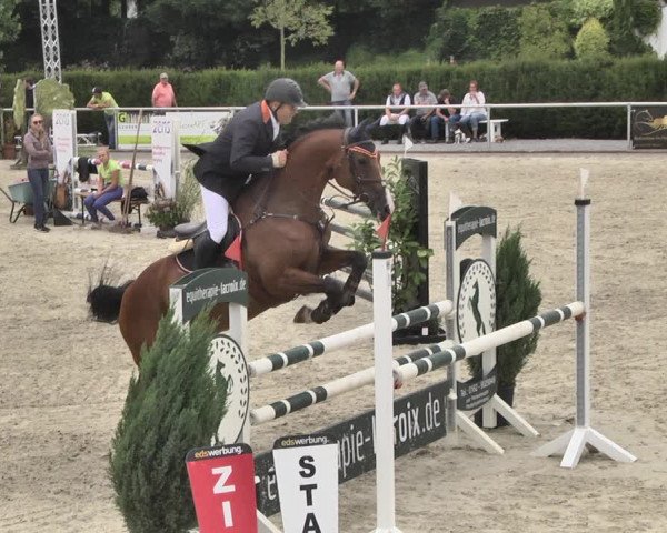 Reitturnier Durmersheim-Hardt 2019