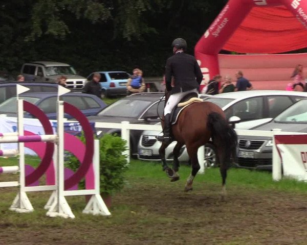 Reitturnier Langstedt-Bollingstedt 2019