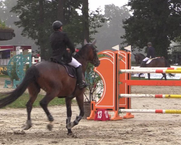 Reitturnier Datteln 2019