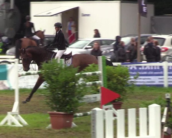 Reitturnier Langstedt-Bollingstedt 2019