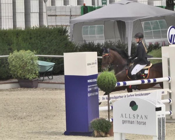 Reitturnier Durmersheim-Hardt 2019