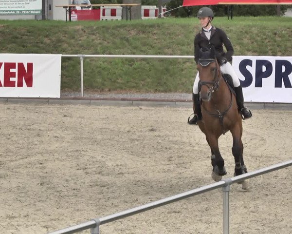 Reitturnier Durmersheim-Hardt 2019