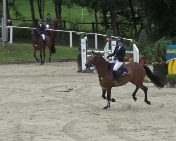 Reitturnier Bergisch Classics - Hebborner Hof 2019