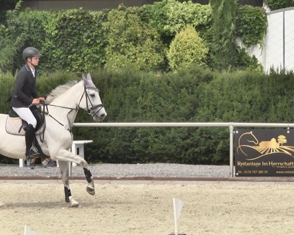 Reitturnier Durmersheim-Hardt 2019