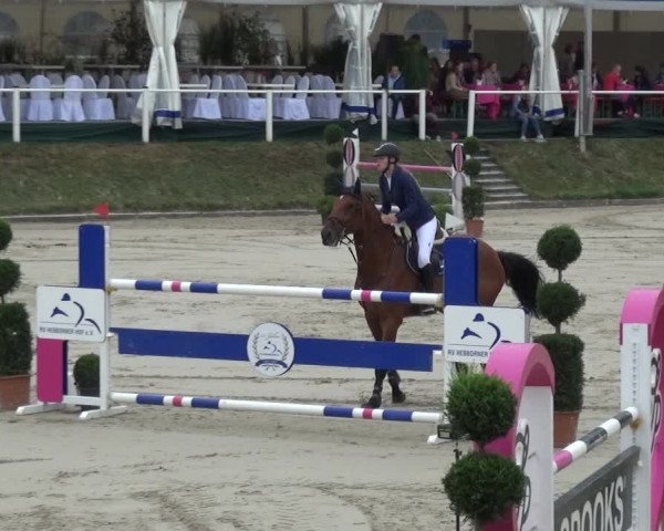 Reitturnier Bergisch Classics - Hebborner Hof 2019